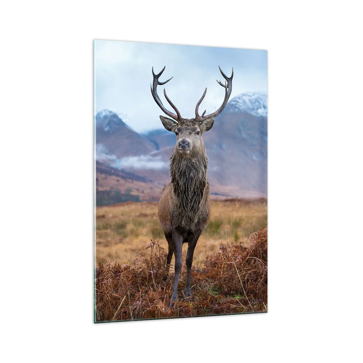 Cuadro sobre vidrio - Impresiones sobre Vidrio - En mi propia tierra - 70x100 cm