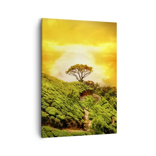 Cuadro sobre lienzo - Impresión de Imagen - Colinas verdes de plantaciones de té al atardecer - 50x70cm - Por un camino sinuoso, por una verde pendiente - Decoración de pared moderna para salón y dormitorio ARTTOR