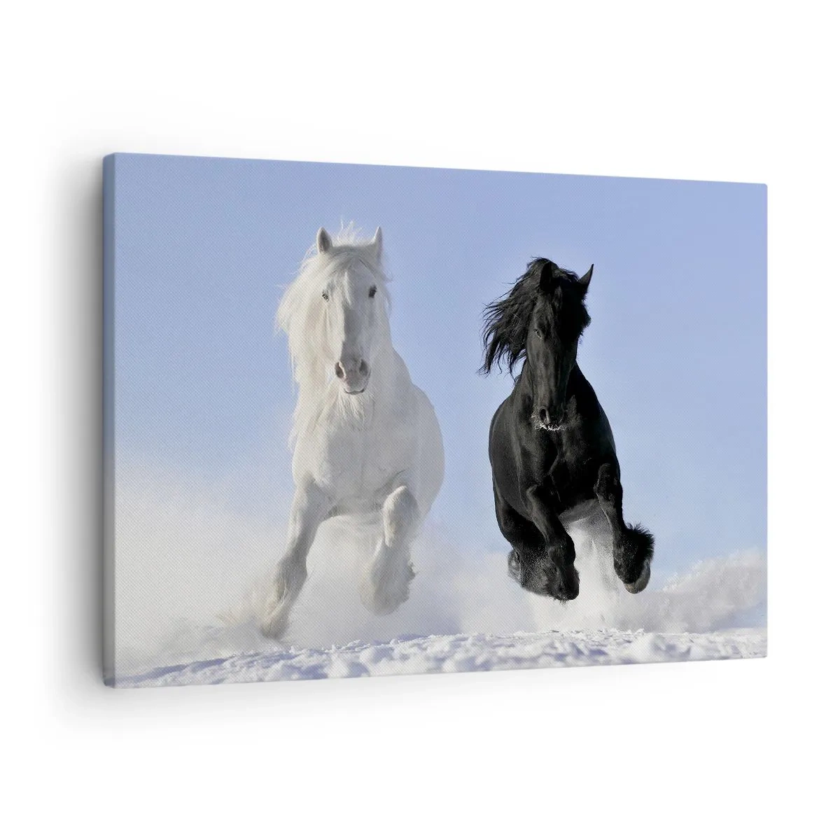 Cuadro sobre lienzo - Impresión de Imagen - Un caballo blanco y uno negro galopando por la nieve. - 70x50cm - Galope blanco y negro - Decoración de pared moderna para salón y dormitorio ARTTOR