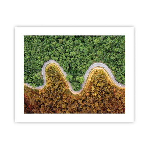 Póster - Frontera serpenteante - 50x40 cm