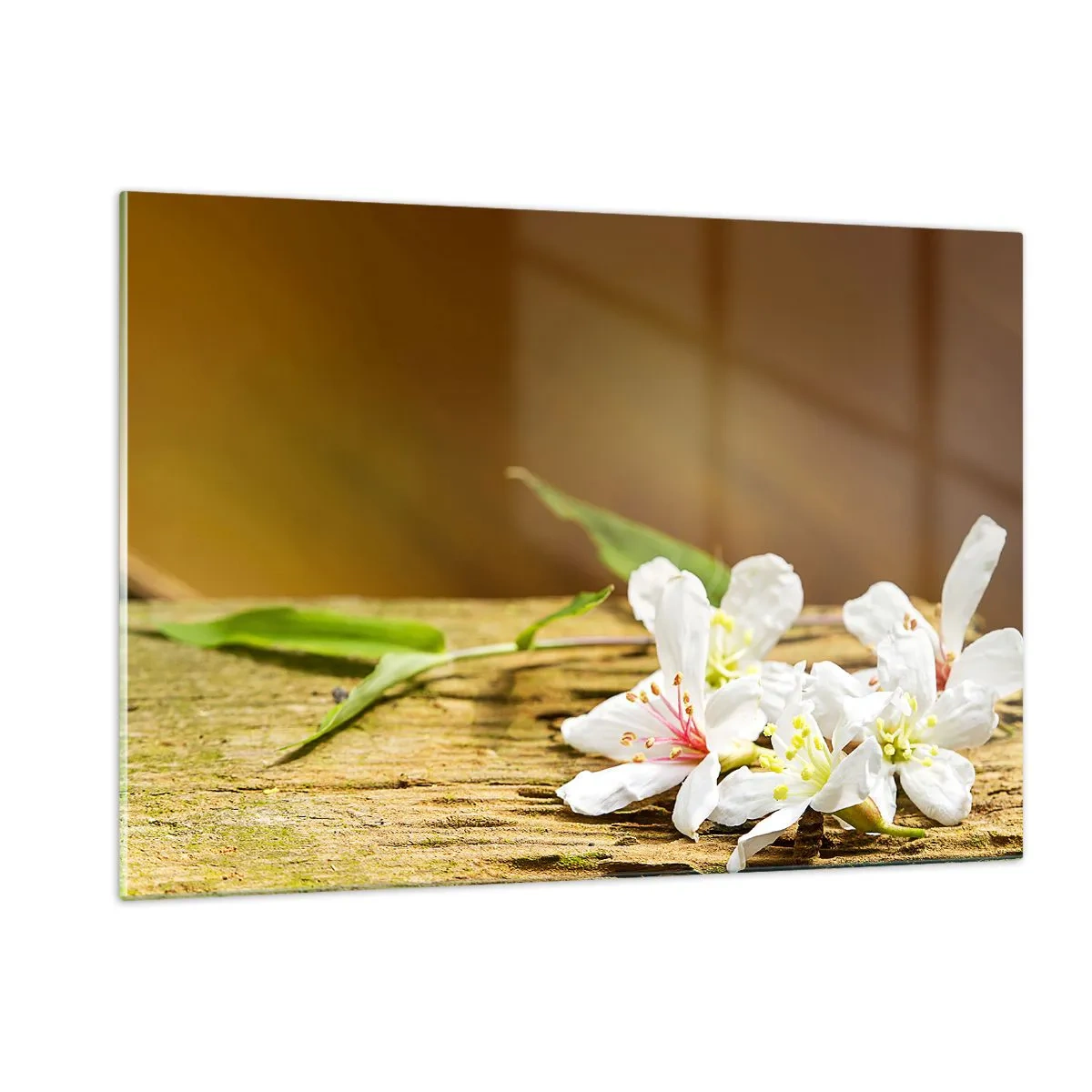Cuadro sobre vidrio - Impresiones sobre Vidrio - Flores blancas sobre un fondo de madera con luz cálida. - 120x80cm - Una promesa inocente - Decoración de pared moderna para salón y dormitorio ARTTOR