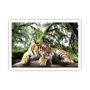 Póster - Un tigre descansando en un bosque tropical. - 100x70cm - Atentamente - Decoración de pared moderna para salón y dormitorio ARTTOR