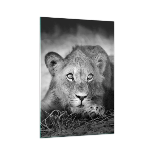 Cuadro sobre vidrio - Impresiones sobre Vidrio - Retrato monocromático de un león joven acostado - 70x100cm - Un cachorro real - Decoración de pared moderna para salón y dormitorio ARTTOR