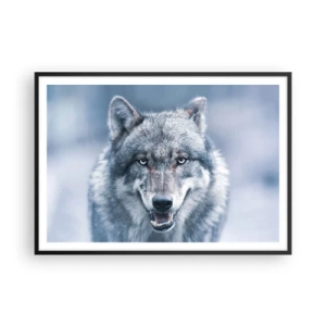 Póster en marco negro - Un lobo con una mirada intensa en un paisaje invernal. - 100x70cm - ¿Aceptarás el reto? - Decoración de pared moderna para salón y dormitorio ARTTOR
