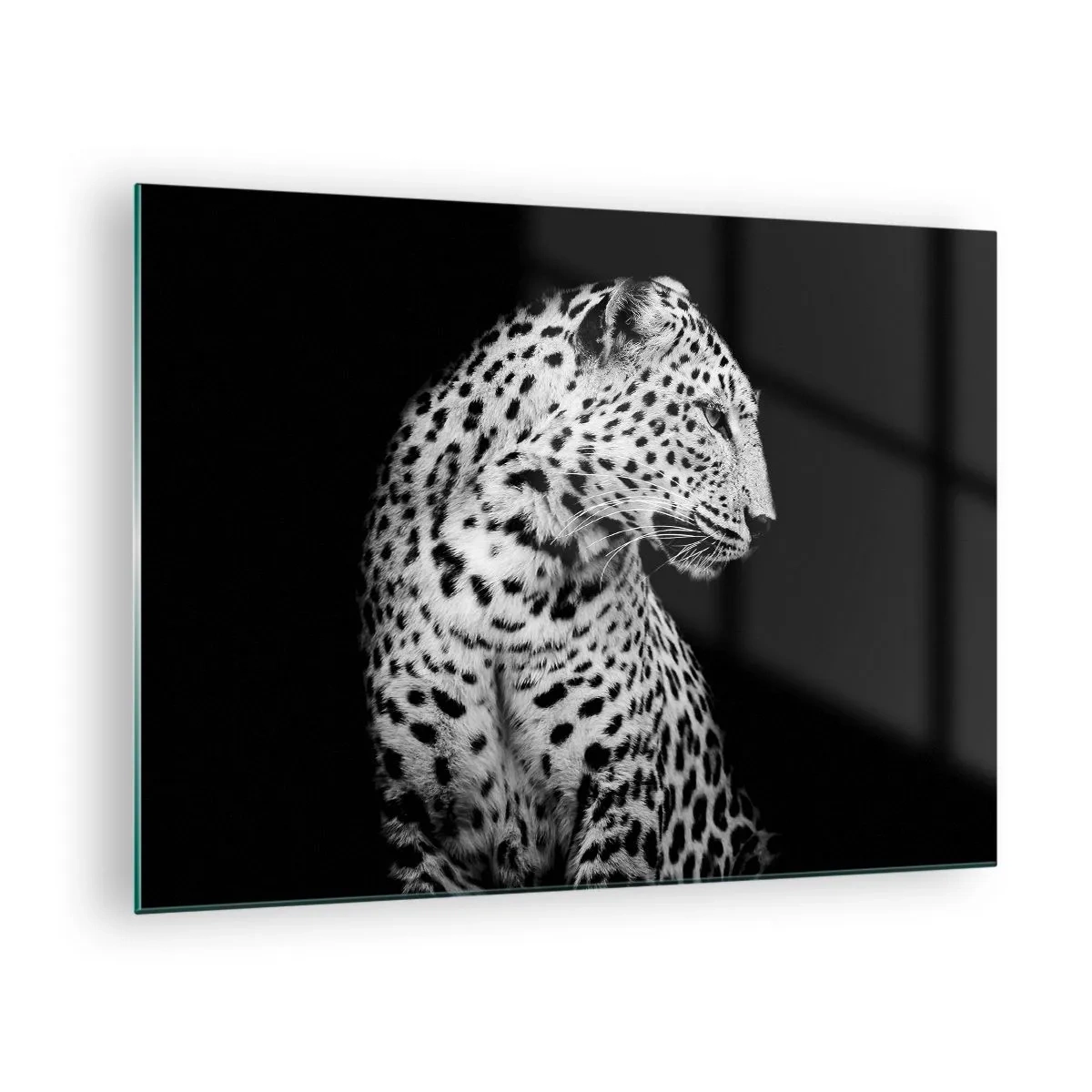 Cuadro sobre vidrio - Impresiones sobre Vidrio - El perfil derecho es perfecto - 70x50 cm