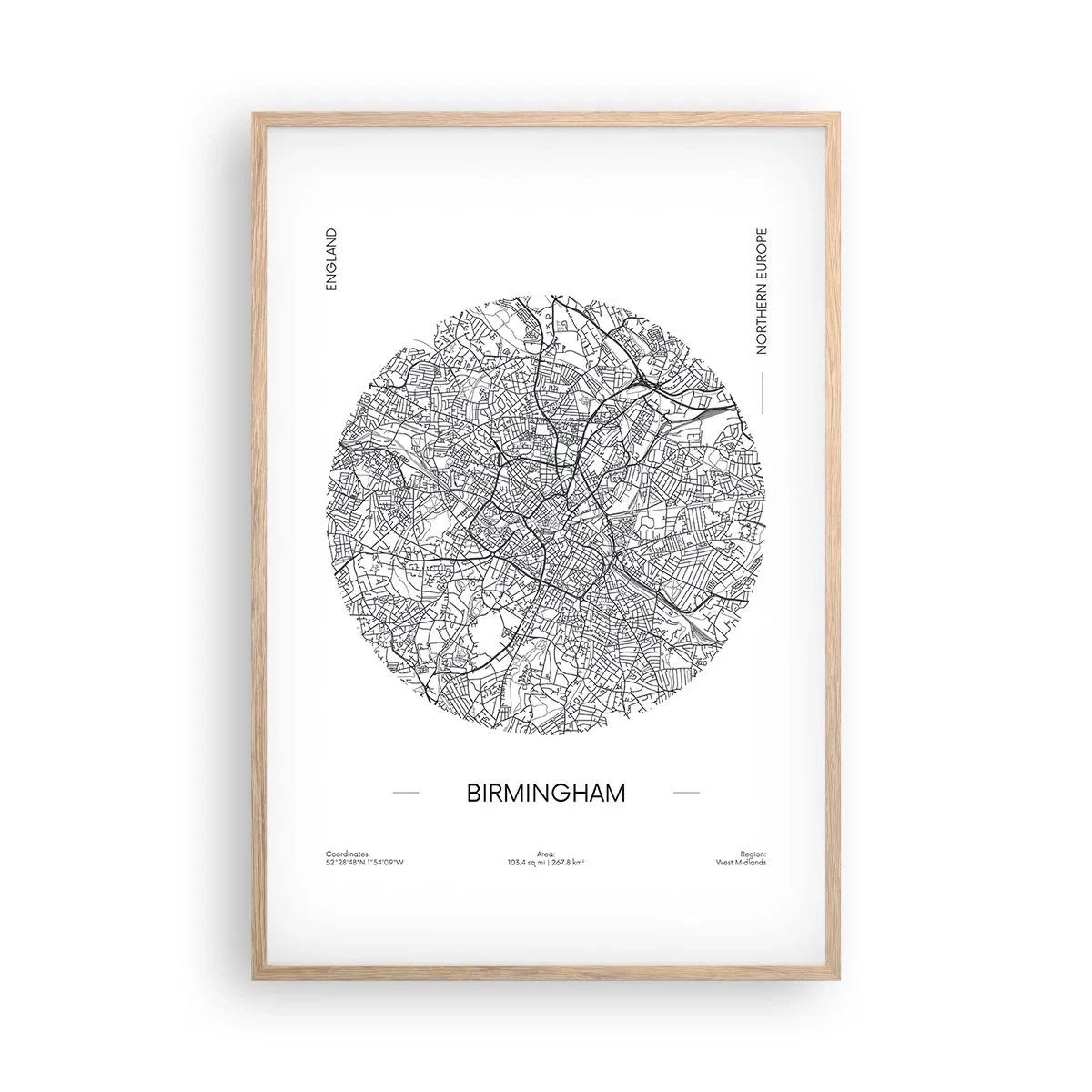 Póster en marco roble claro - Anatomía de Birmingham - 61x91 cm