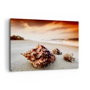 Cuadro sobre lienzo - Impresión de Imagen - Conchas en la playa al atardecer - 100x70cm - Los exiliados de las olas - Decoración de pared moderna para salón y dormitorio ARTTOR
