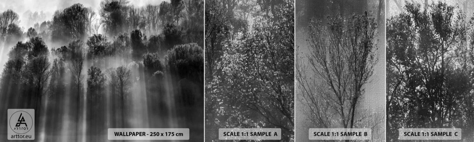 Muestra de fotomural Premium Canvas - En los flujos de luz - Paisaje, Bosque, En blanco y negro - 100x30 cm