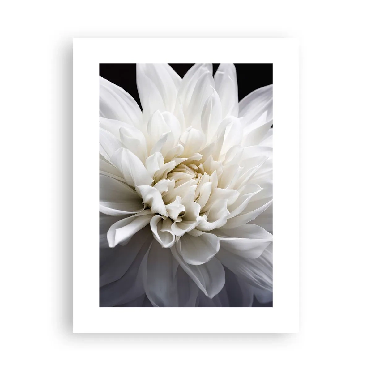 Póster - La novia de la mañana - 30x40 cm