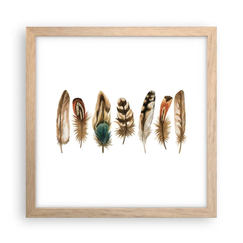 Póster en marco roble claro - Estudio de plumas - 30x30 cm