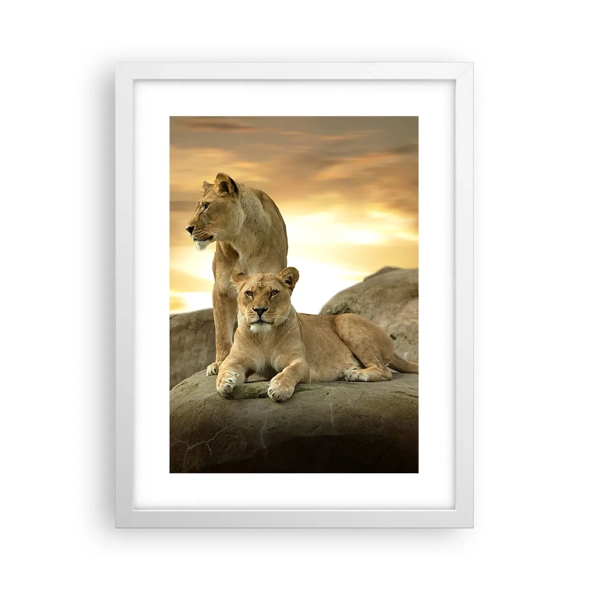 Póster en marco blanco - Majestuosidad real - 30x40 cm