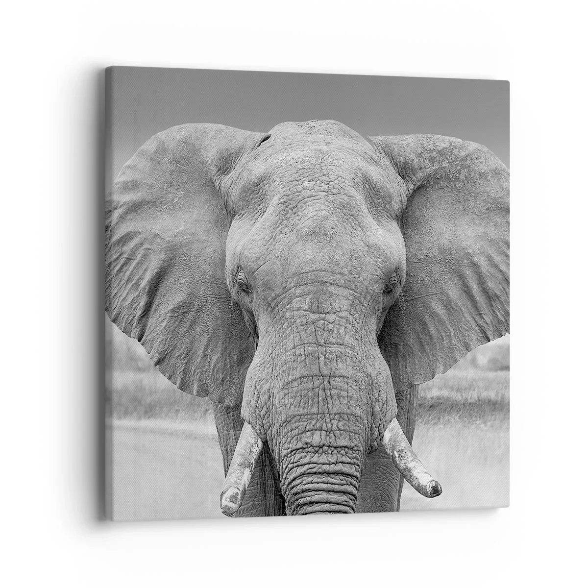 Cuadro sobre lienzo - Impresión de Imagen - Bienvenido a mi mundo - 40x40 cm