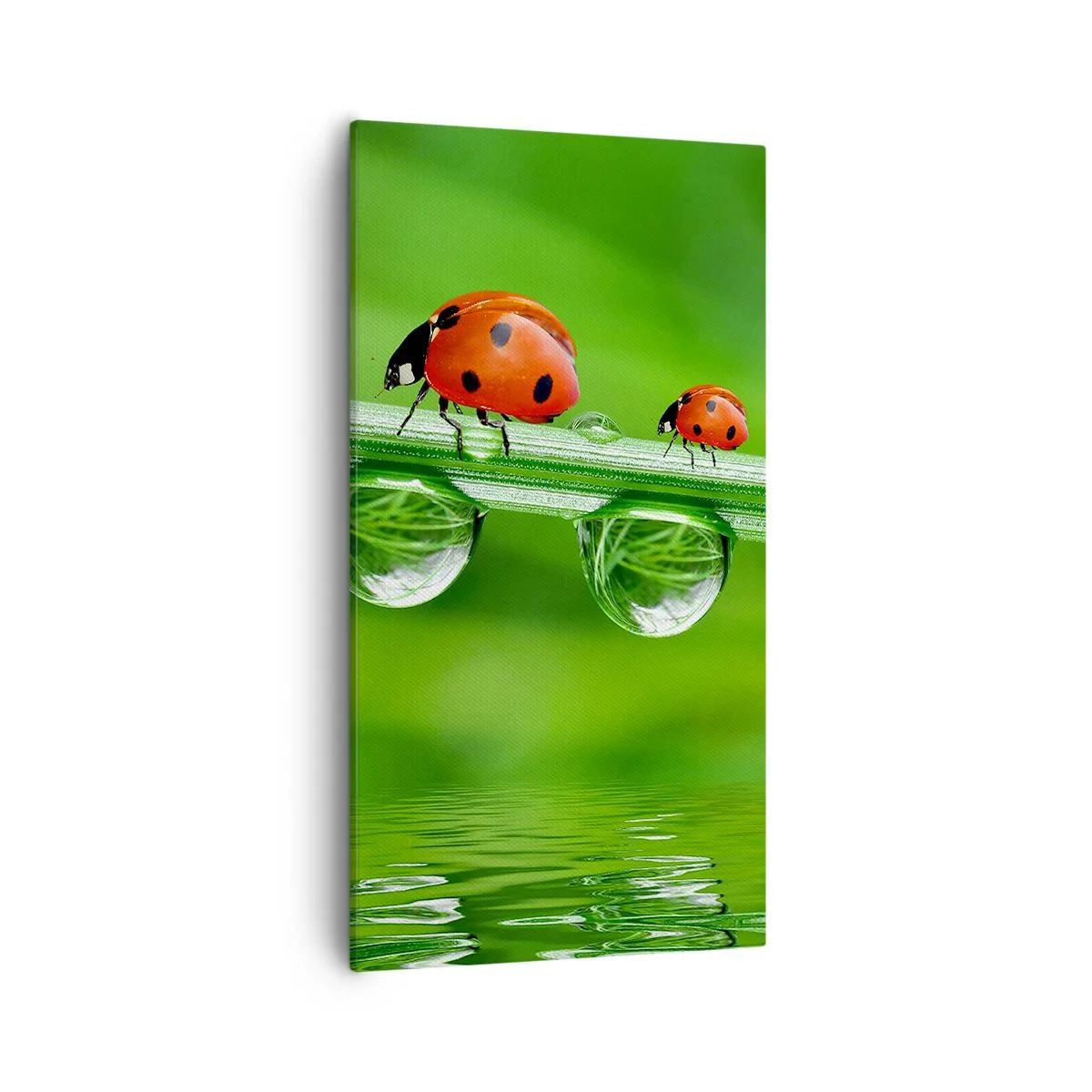 Cuadro sobre lienzo - Impresión de Imagen - En el camino todo el verano - 55x100 cm