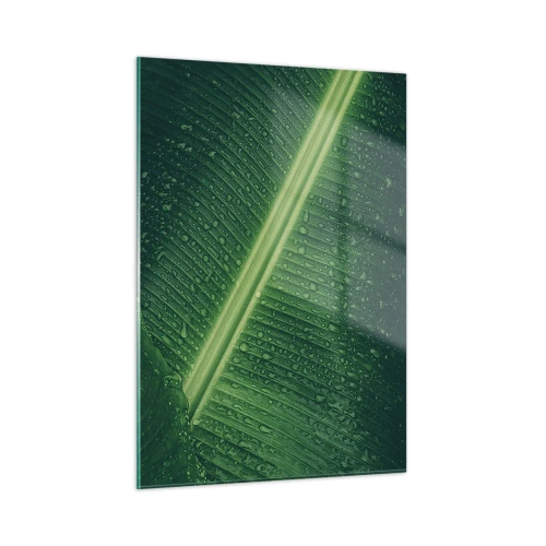Cuadro sobre vidrio - Impresiones sobre Vidrio - Primer plano de una hoja verde con gotas de agua. - 50x70cm - Estructura del verde - Decoración de pared moderna para salón y dormitorio ARTTOR