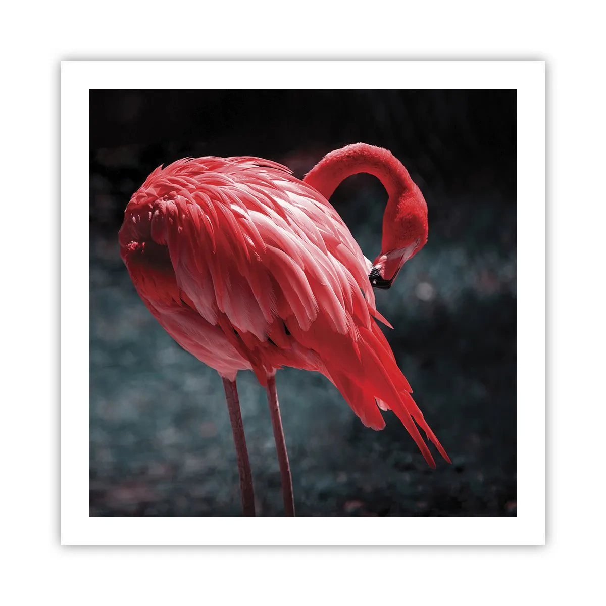 Póster - Un poema carmesí de la naturaleza - 60x60 cm