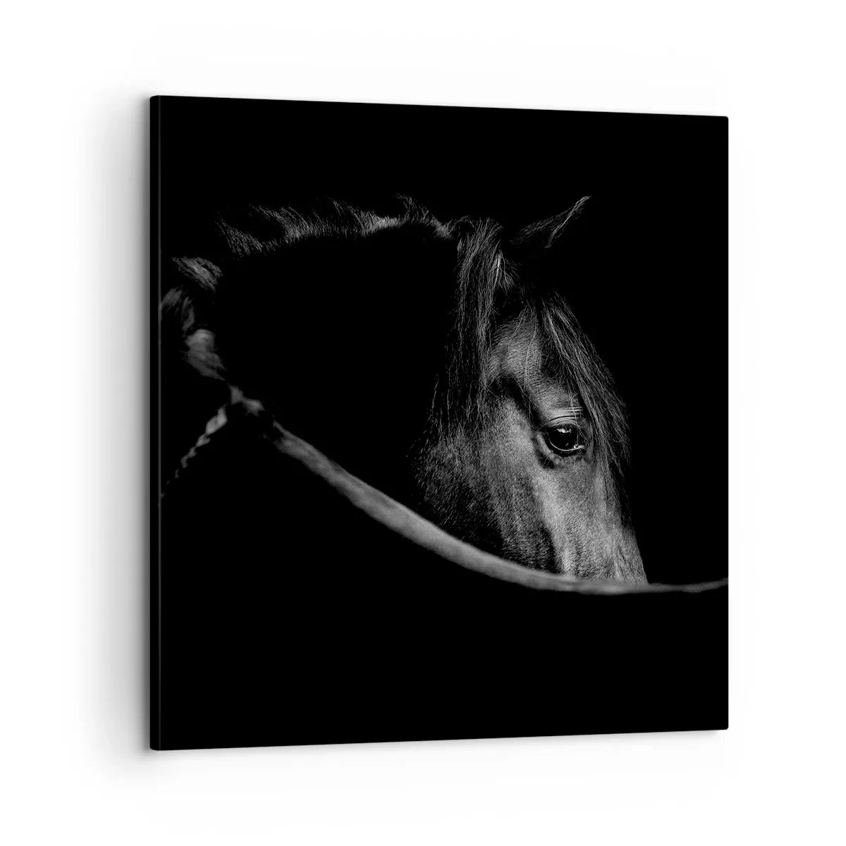 Cuadro sobre lienzo - Impresión de Imagen - Príncipe negro - 60x60 cm