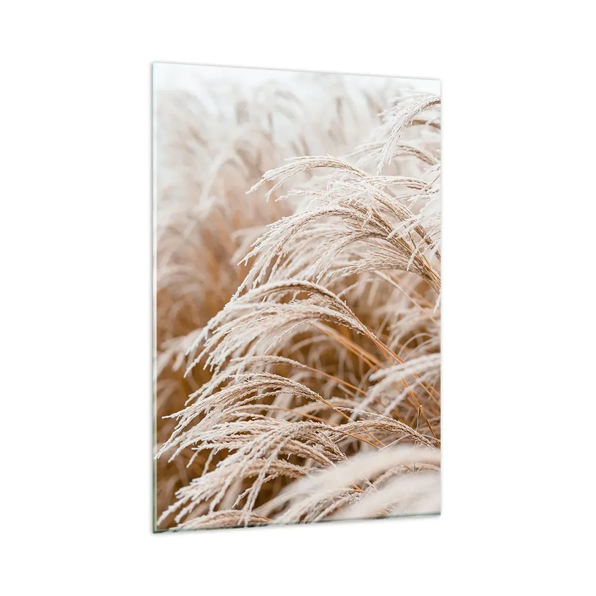 Cuadro sobre vidrio - Impresiones sobre Vidrio - El sol de otoño - 80x120 cm