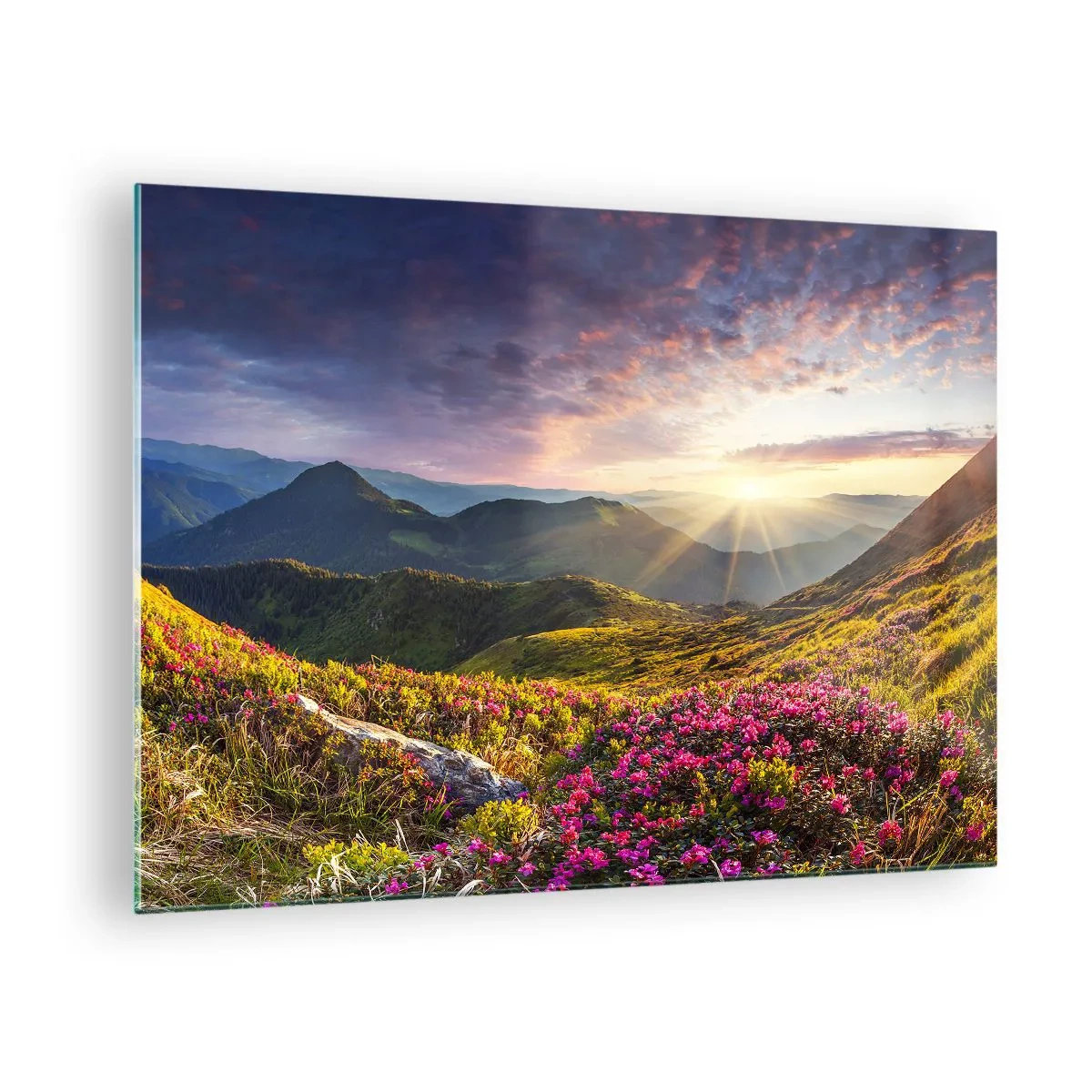 Cuadro sobre vidrio - Impresiones sobre Vidrio - Paisaje de montaña al amanecer con flores florecientes - 70x50cm - La frescura de una mañana de montaña - Decoración de pared moderna para salón y dormitorio ARTTOR