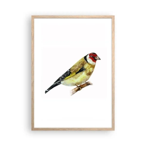 Póster en marco roble claro - Retrato de pájaro - 50x70 cm
