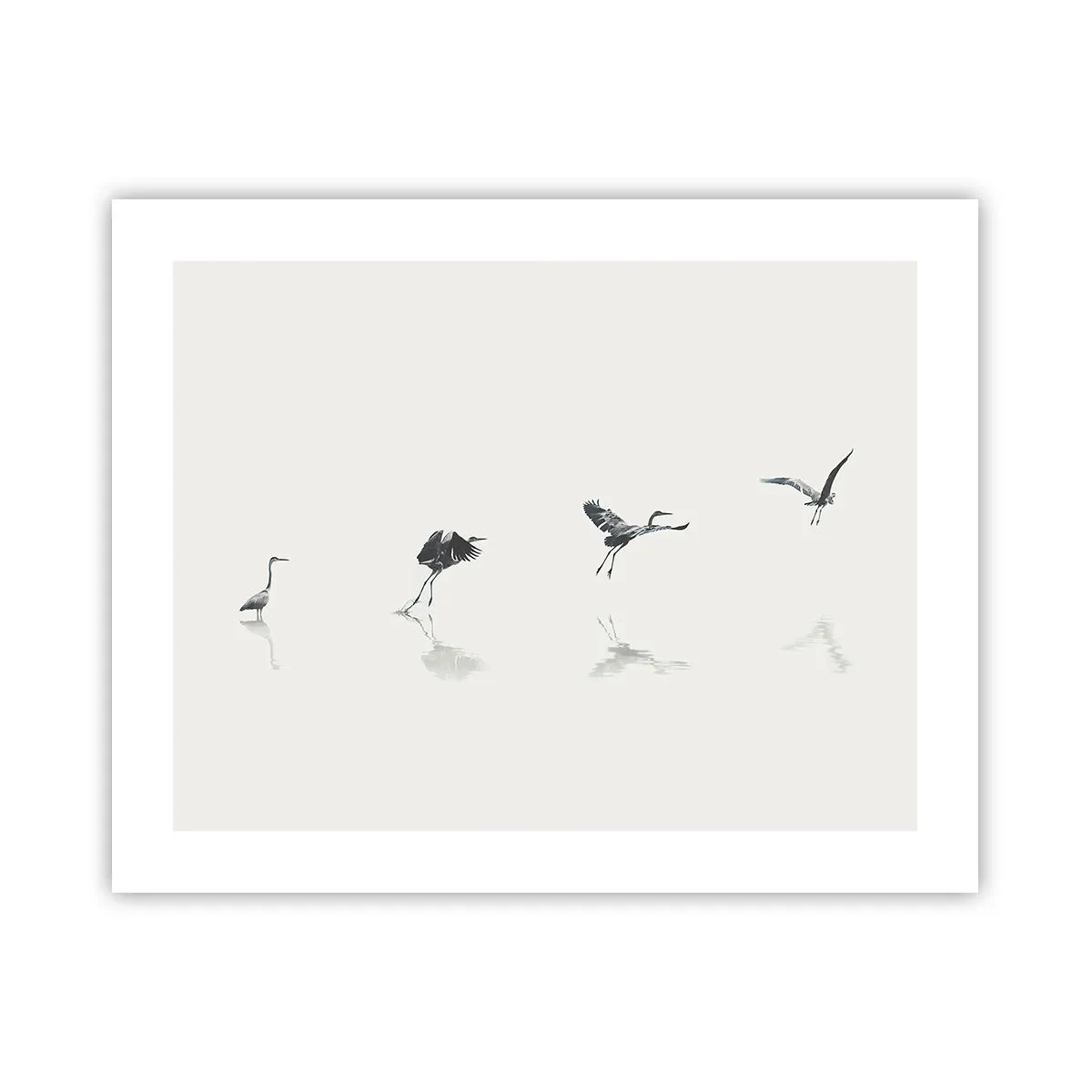 Póster - Cuatro sencillos pasos para despegar - 50x40 cm