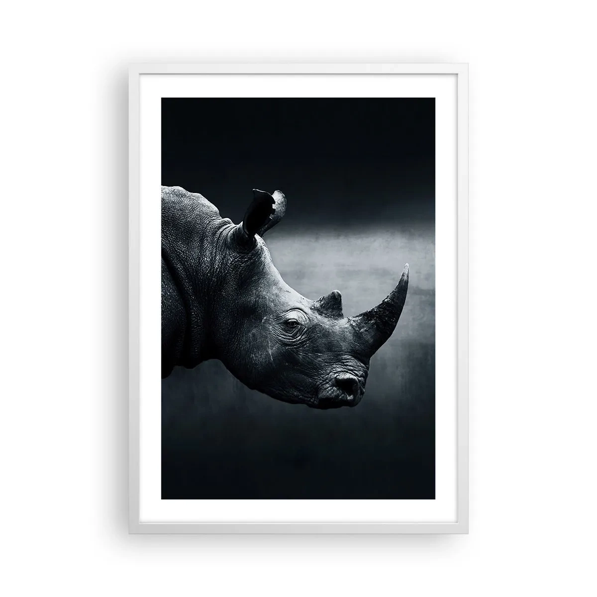 Póster en marco blanco - Perfil derecho - 50x70 cm