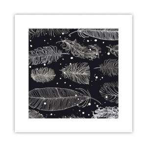 Póster - Encaje de plumas - 30x30 cm