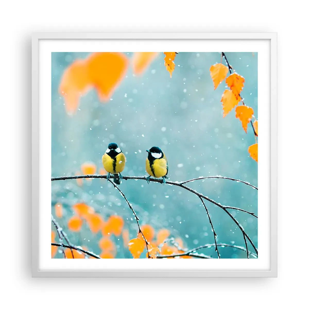 Póster en marco blanco - Cotilleo de pájaros - 60x60 cm