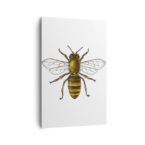 Cuadro sobre lienzo - Impresión de Imagen - Ilustración detallada de una abeja sobre un fondo blanco. - 80x120cm - Bondad natural - Decoración de pared moderna para salón y dormitorio ARTTOR