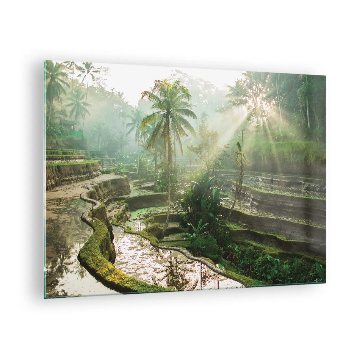 Cuadro sobre vidrio - Impresiones sobre Vidrio - Arrozales tropicales con palmeras en la niebla de la mañana - 70x50cm - Crecer bajo el sol - Decoración de pared moderna para salón y dormitorio ARTTOR