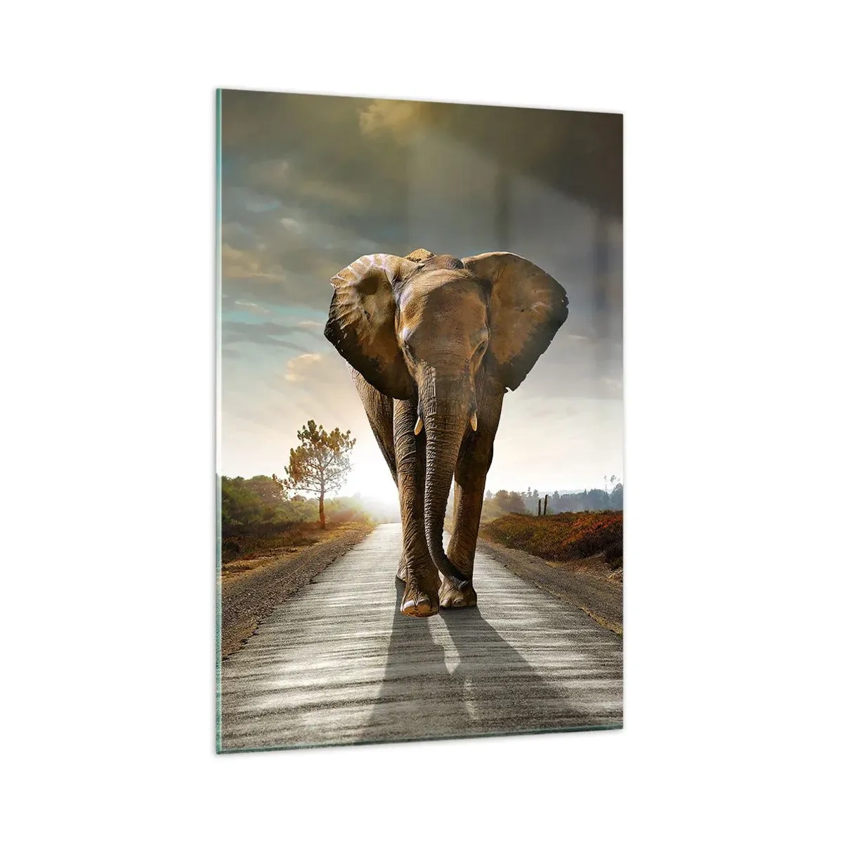 Cuadro sobre vidrio - Impresiones sobre Vidrio - Un elefante caminando por una carretera a través de un paisaje al atardecer. - 80x120cm - Y para nada en un almacén de porcelana - Decoración de pared moderna para salón y dormitorio ARTTOR