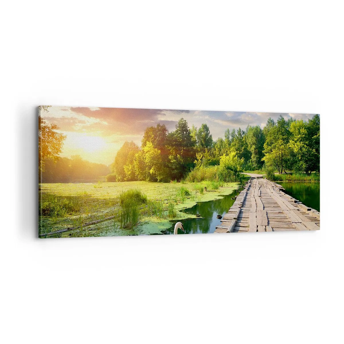 Cuadro sobre lienzo - Impresión de Imagen - Verano, verano en todas partes - 100x40 cm
