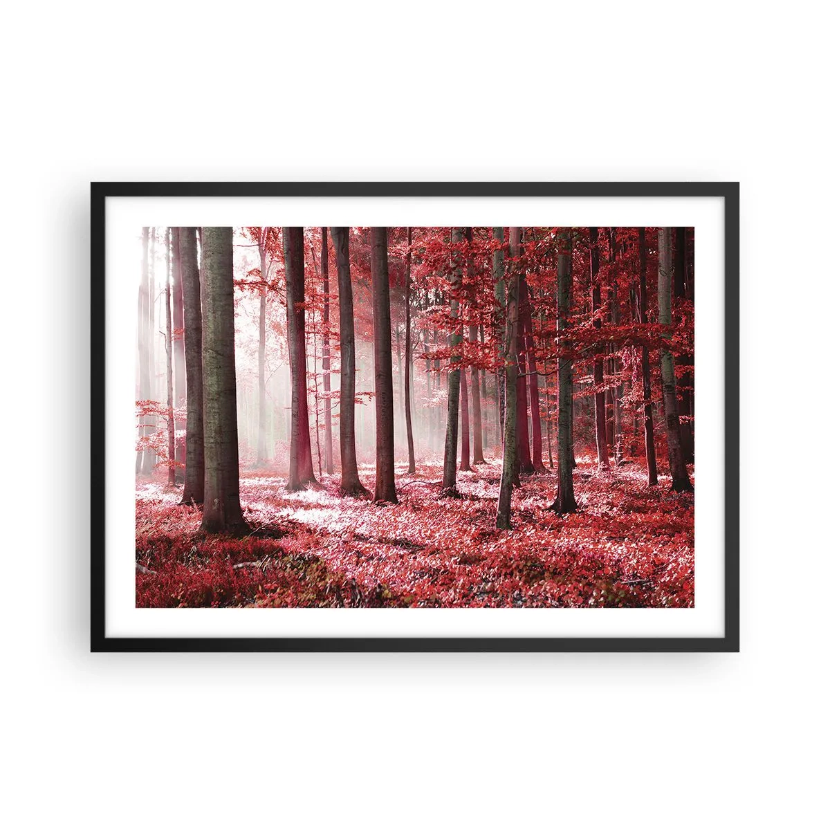 Póster en marco negro - Un impresionante bosque en tonos rojos con rayos de luz que penetran a través de los árboles. - 70x50cm - Rojo como el que más - Decoración de pared moderna para salón y dormitorio ARTTOR