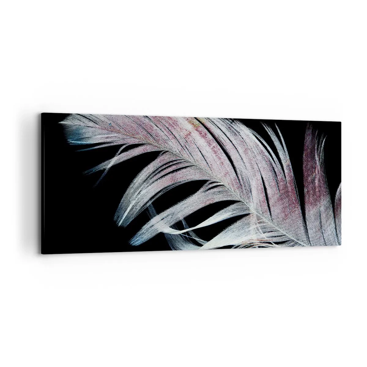 Cuadro sobre lienzo - Impresión de Imagen - Una delicada pluma sobre un fondo negro en un enfoque artístico. - 120x50cm - Piensa en el tacto - Decoración de pared moderna para salón y dormitorio ARTTOR