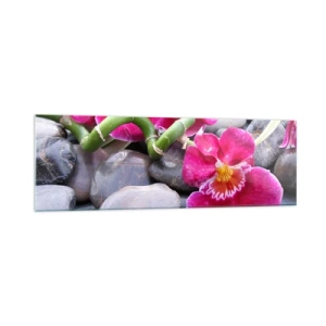 Cuadro sobre vidrio - Impresiones sobre Vidrio - Orquídeas rosas sobre un fondo de piedras lisas. - 160x50cm - Frío y calor - Decoración de pared moderna para salón y dormitorio ARTTOR