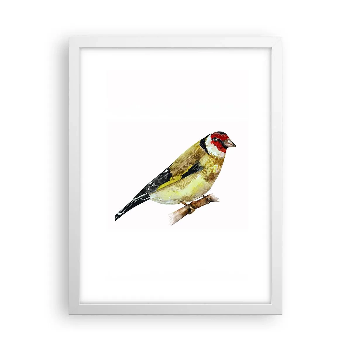 Póster en marco blanco - Retrato de pájaro - 30x40 cm