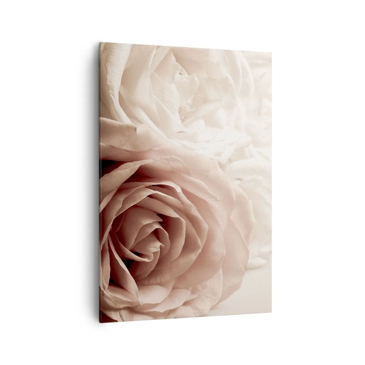 Cuadro sobre lienzo - Impresión de Imagen - Delicadas rosas en tonos pastel beige. - 70x100cm - En el corazón de una rosa - Decoración de pared moderna para salón y dormitorio ARTTOR
