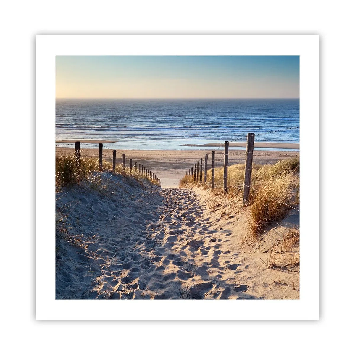 Póster - El sonido del mar, el canto de los pájaros, una playa virgen entre las dunas... - 50x50 cm