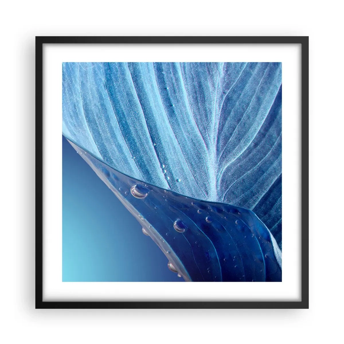 Póster en marco negro - Gotas ocultas de azul - 50x50 cm