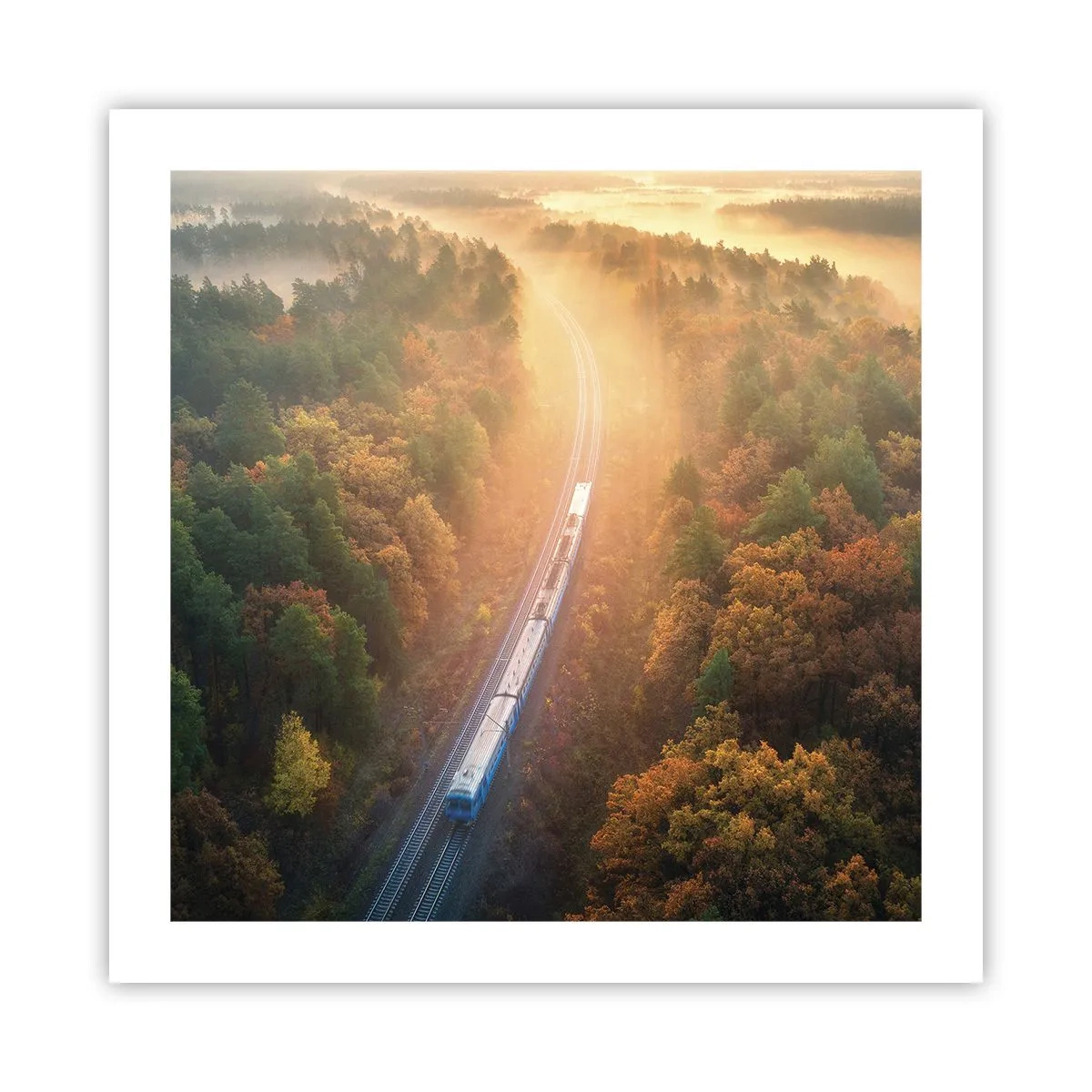 Póster - Un viaje otoñal - 50x50 cm
