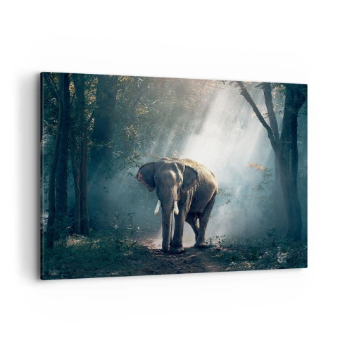 Cuadro sobre lienzo - Impresión de Imagen - Elefante en la luz del bosque - 100x70cm - Un paseo tranquilo - Decoración de pared moderna para salón y dormitorio ARTTOR