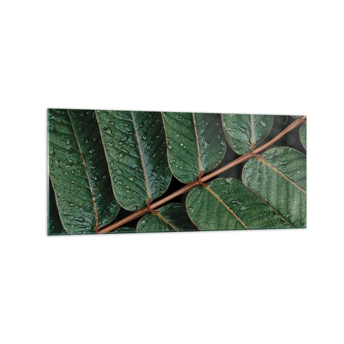 Cuadro sobre vidrio - Impresiones sobre Vidrio - Fotografía macro de hojas verdes con gotas de rocío. - 120x50cm - En un ritmo verde - Decoración de pared moderna para salón y dormitorio ARTTOR