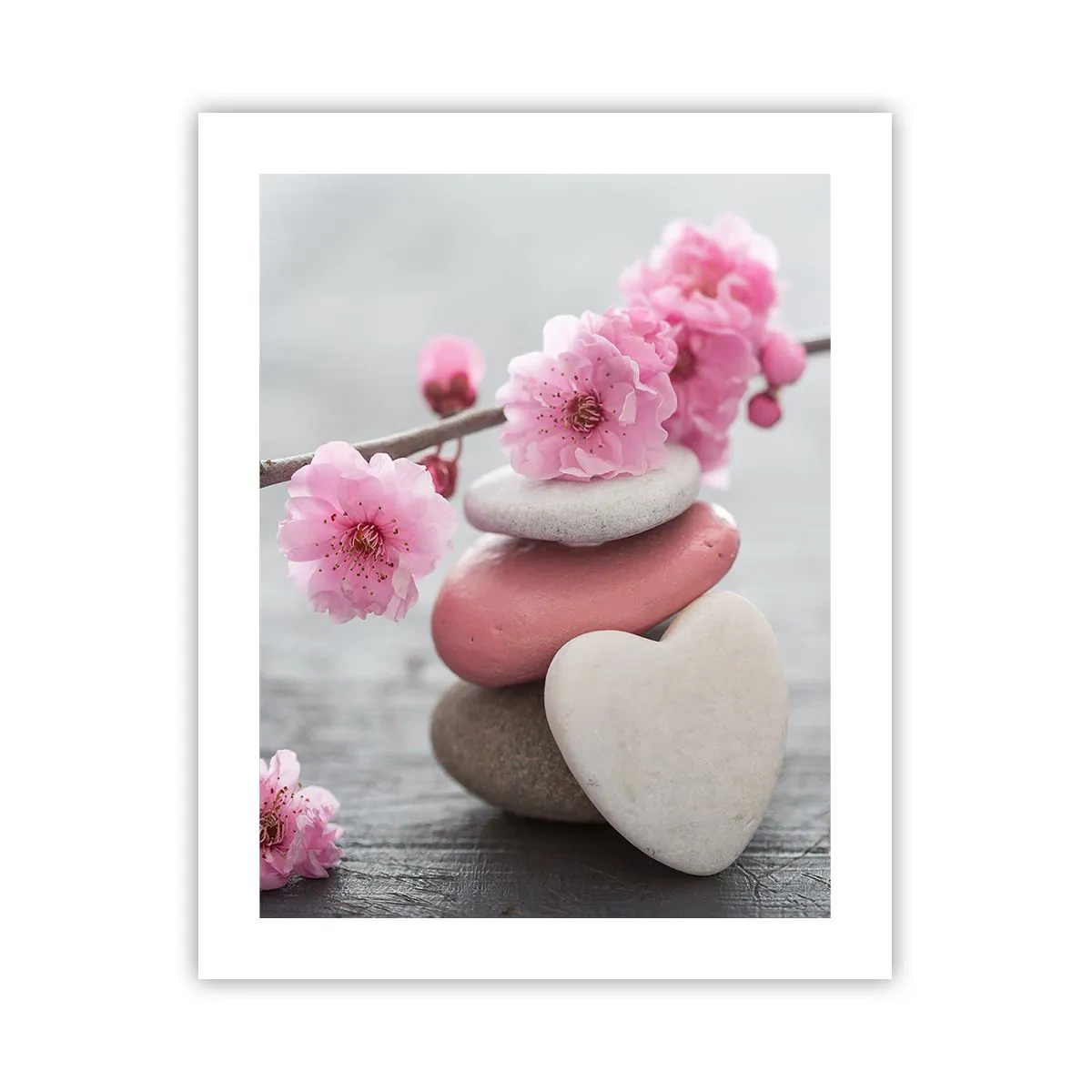 Póster - Felicidad con la flor del cerezo - 40x50 cm