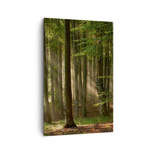 Cuadro sobre lienzo - Impresión de Imagen - Los rayos del sol penetran a través de los árboles en el bosque. - 80x120cm - Radiante en una mañana de primavera - Decoración de pared moderna para salón y dormitorio ARTTOR