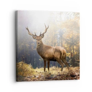 Cuadro sobre lienzo - Impresión de Imagen - Con toda la majestuosidad - 30x30 cm