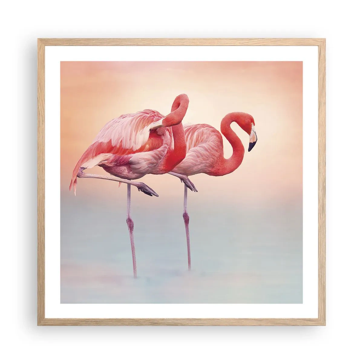 Póster en marco roble claro - Elegancia bajo el sol de poniente - 60x60 cm