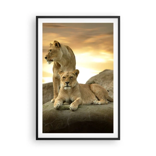 Póster en marco negro - Majestuosidad real - 61x91 cm
