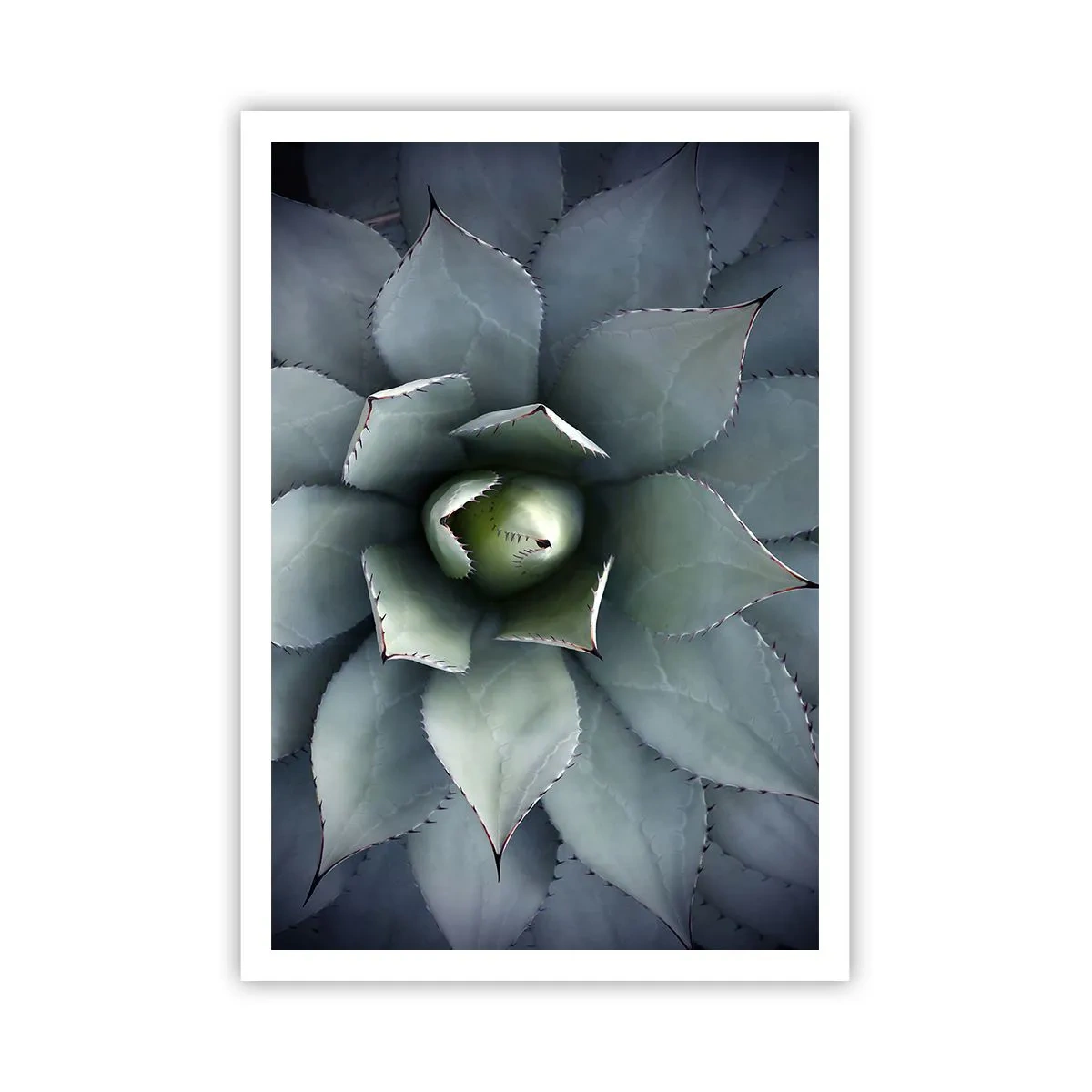 Póster - Perfección natural - 70x100 cm