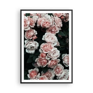Póster en marco negro - Conjunto de rosas - 70x100 cm