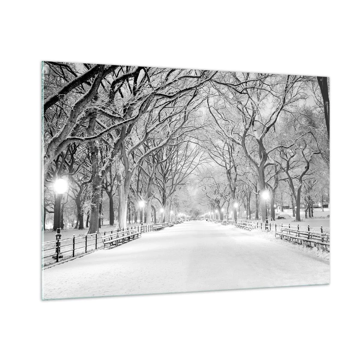 Cuadro sobre vidrio - Impresiones sobre Vidrio - Callejón de árboles de invierno en el parque con luces y nieve. - 100x70cm - Cuatro estaciones - invierno - Decoración de pared moderna para salón y dormitorio ARTTOR