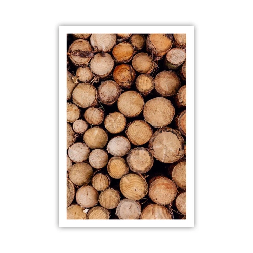 Póster - Un nuevo comienzo - 61x91 cm